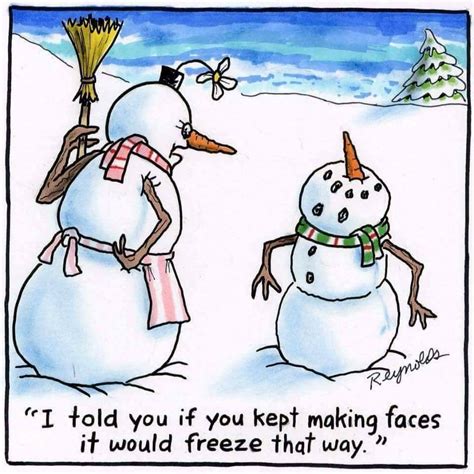 Pin By Laura Arnold On Funny Funny Cartoons Christmas Comics Funny