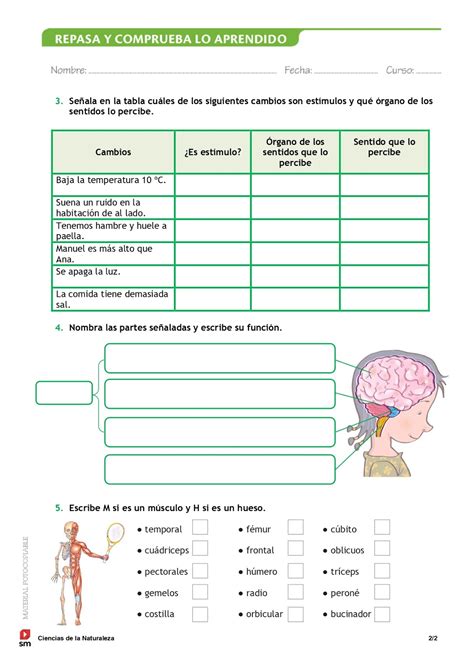 6º Primaria Tarea De Ciencias Naturales Para El Lunes 4052020