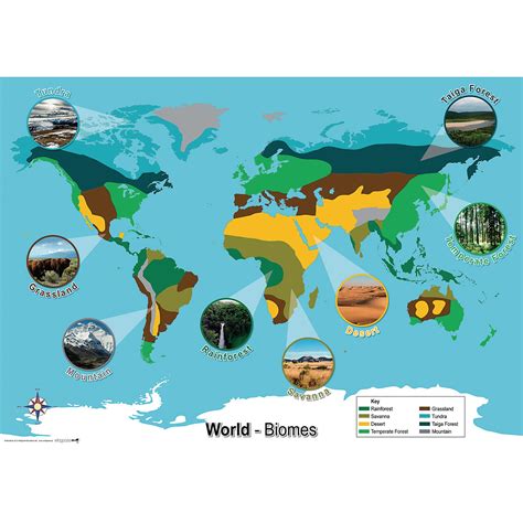 He1534834 World Biomes Map Findel Education