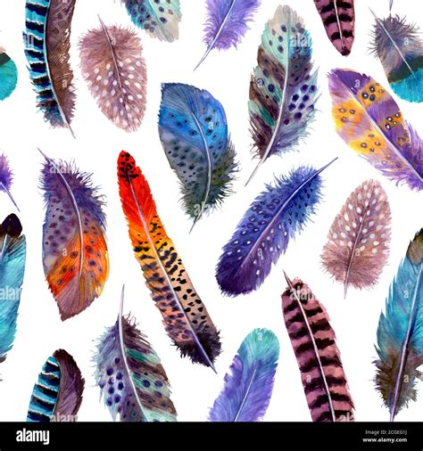 Watercolor Feathers Colorful Abstract Seamless Pattern On White