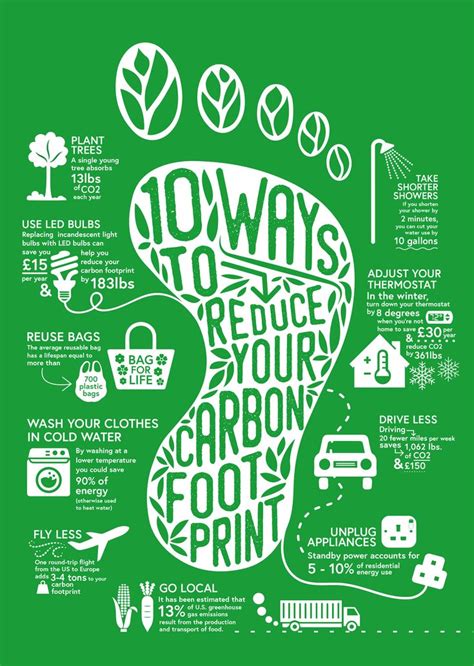 What Can You Do To Reduce Your Carbon Footprint Carbon Footprint Environmental Awareness