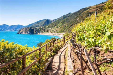 From Florence Cinque Terre National Park Guided Hike Getyourguide