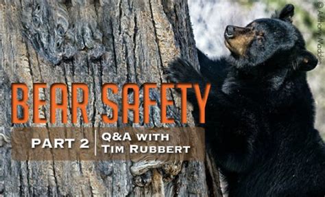 Bear Safety Qanda With An Expert In Bear Safety Fish Alaska Magazine
