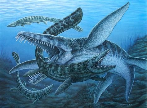 Liopleurodon Pictures And Facts The Dinosaur Database