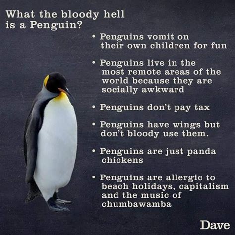 Penguin Facts Socially Awkward Penguin Penguins Animals