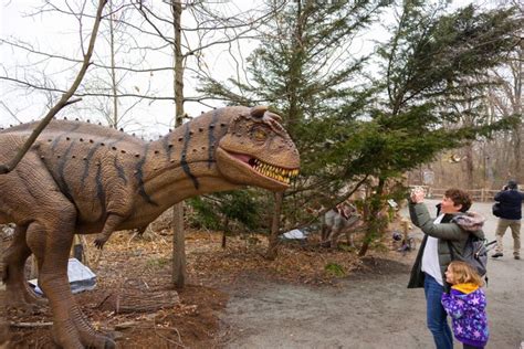 Walk With Dinosaurs In Providence Rhode Island