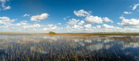 4k Everglades National Park Papéis De Parede Planos De Fundo