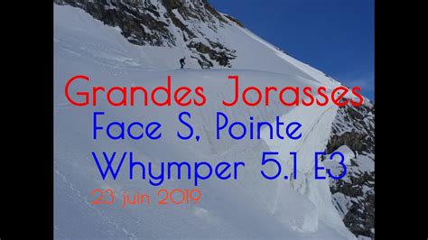 Grandes Jorasses à Ski Pointe Whymper Face S 51 E3 Mont Blanc