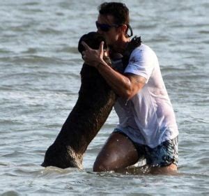 Yangının büyük hasar bıraktığı bölgeye dört bir yandan. Ibrahim Celikkol Enjoys Kitesurfing - Turkish Celebrity News