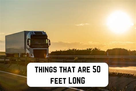 11 Common Things That Are 50 Feet Long Measuringly
