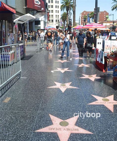 10 Best Attractions In Hollywood Boulevard Citybop