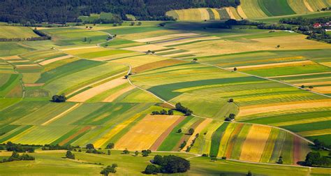 Biotechnology refers to a variety of tools that alter living organisms to create specific traits or qualities. Nexit Would Harm the Dutch Agriculture and Horticulture ...