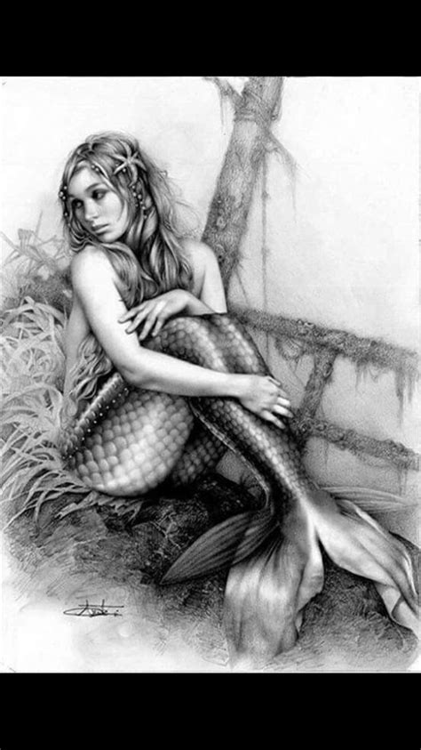 Pin By Karen Hoefer On Mermaid Tattoos Mermaid Sketch Mermaid