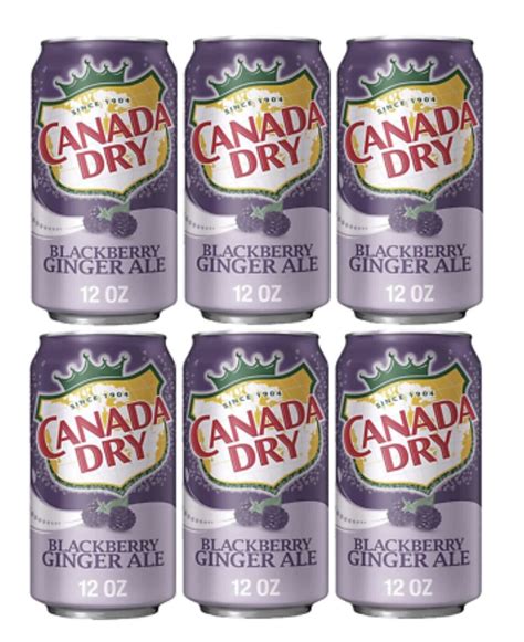 Canada Dry Ginger Ale Blackberry Soda 6 Cans Ebay