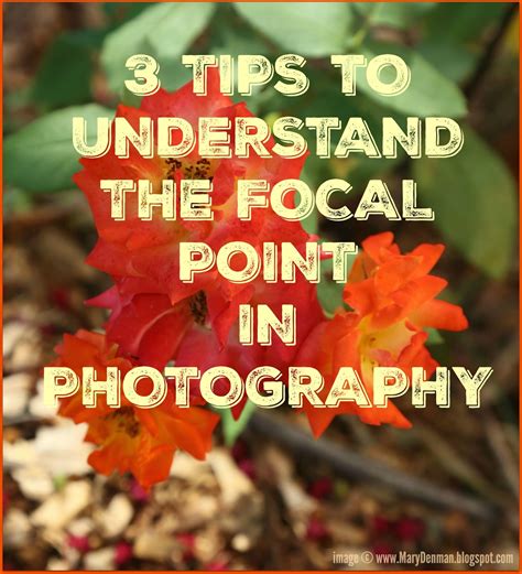 Mary Denman Photo Tip Friday 3 Tips To Help Understand The Focal