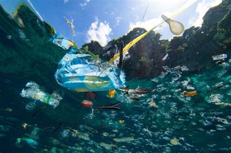 Lautan Dipenuhi Sampah Plastik Ulah Negara Maju Dan Berkembang