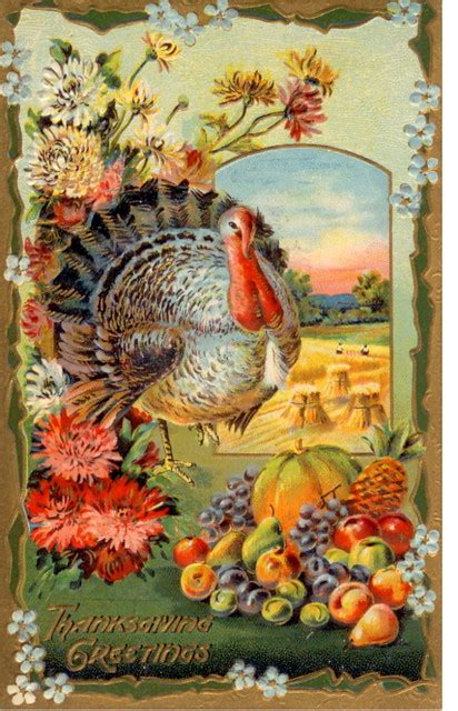 Vintage Thanksgiving Postcards Orange Marmalade Press