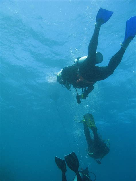 scuba diving-2673 | Stockarch Free Stock Photos