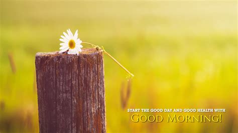 good, Morning, Greetings, Motivational, Mood Wallpapers HD ...
