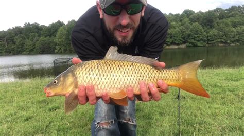 Carp Fishing With Particle Bait And Feed Corn Day 3 Youtube