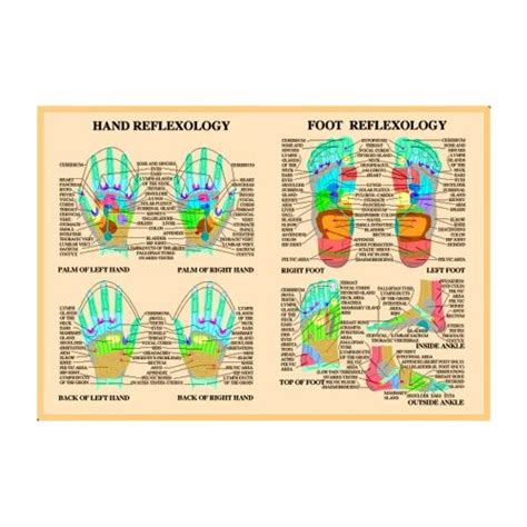 Foot And Hand Reflexology Charts