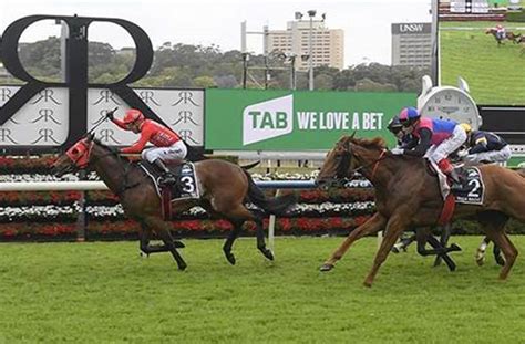 Sydney Horse Racing Spring Carnival Enhanced The Drop