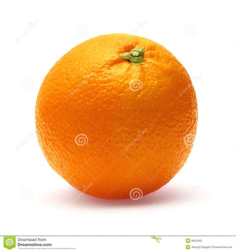 Orange Isolated On White Background Stock Photo Image Of Still Fresh