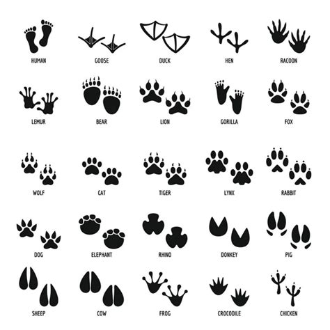 Animal Footprint Silhouette