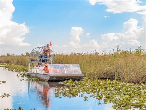 Visiting Everglades National Park With Boat Tours Info Tips Pics