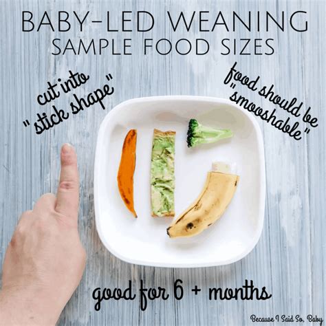 6 Month Old Baby Led Weaning Meal Ideas Feeding Schedule Because I