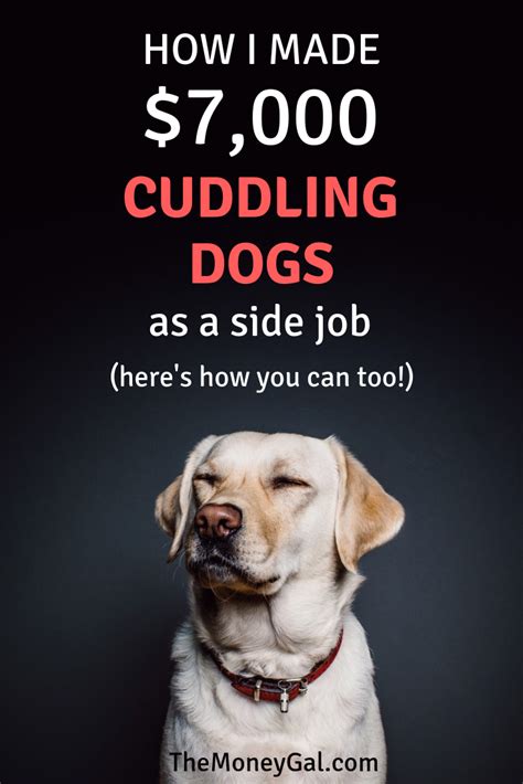 Pet Jobs Near Me No Experience - RTELEY