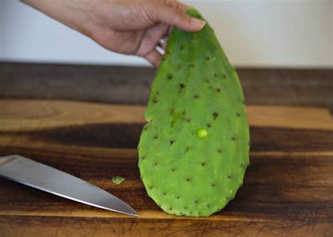 Pricked by a cactus thorn, now you are wondering if cactus poisonous is a thing or not. Food Genius: Removing Thorns from Nopales - Food Literacy ...