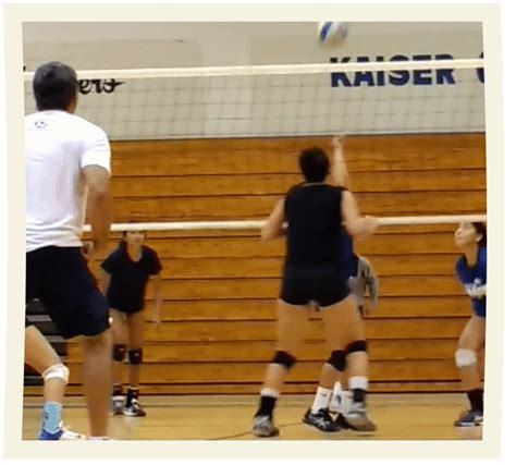 Pro Volleyball Shorts More Joy When Playing Volleyball Full Commando