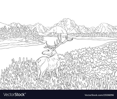 Adult Coloring Bookpage A Nature Landscape With A Vector Image