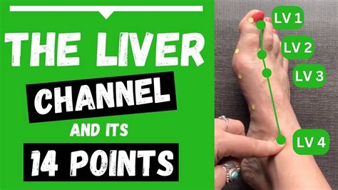Liver Channel Meridian 14 Liver Acupuncture Points Functions