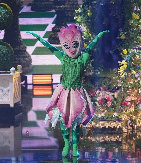 On the masked dancer season 1 finale, cotton candy beat sloth and tulip to win the diamond 'the masked dancer' finale reveals cotton candy as winner: The Masked Dancer Finale: The Tulip, Cotton Candy, Sloth Revealed! | Feeling the Vibe Magazine