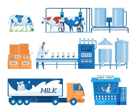 Milk Production Steps Set Farm Process Lifting Png And Vector With