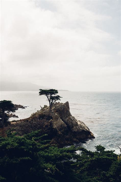 The Lone Cypress Monterey Ca Part Of The Perfect California Road Trip