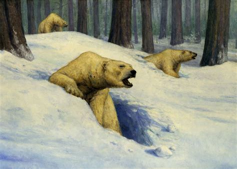 Polar Bears Rythiae Wiki Fandom
