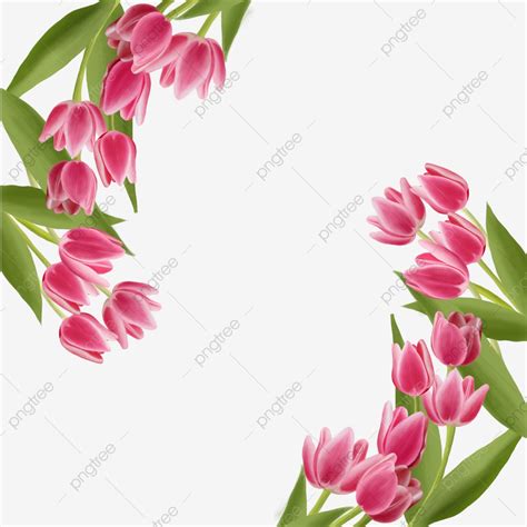 Pink Flower Border Pink Tulip Flowers PNG Transparent Clipart Image And PSD File For Free