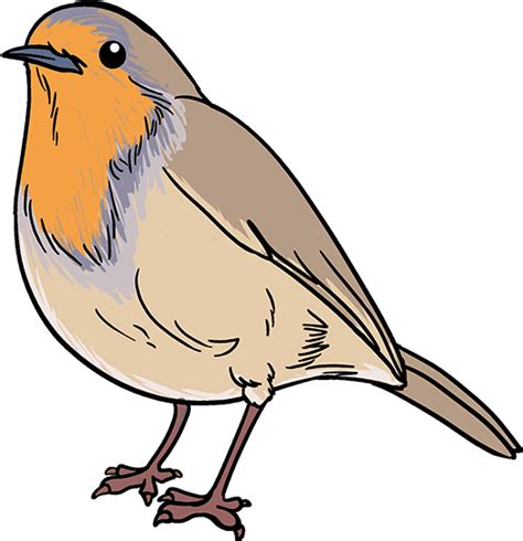 European Robin Png Pic Hq Png Arts