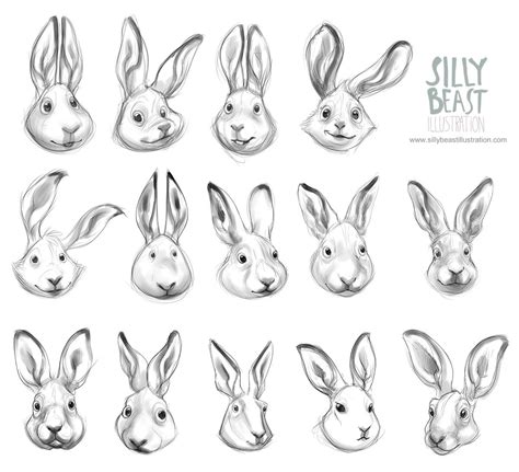 Bunny Sketches Animal Sketches Animal Drawings Rabbit Drawing