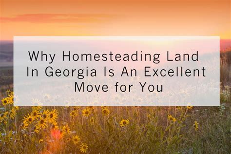 Why Homesteading Land In Georgia Is An Excellent Move For You Hurdle