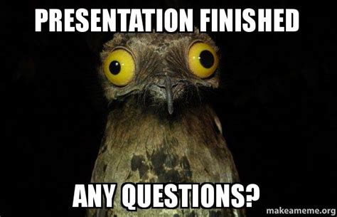 Presentation Finished Any Questions Questions Make A Meme