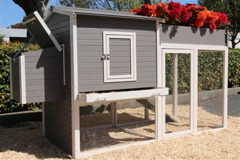 I found talking hens feed whilst researching food options and gave it a go. 16 Best Chicken Coop Kits for Sale - Cool Backyard Chicken ...