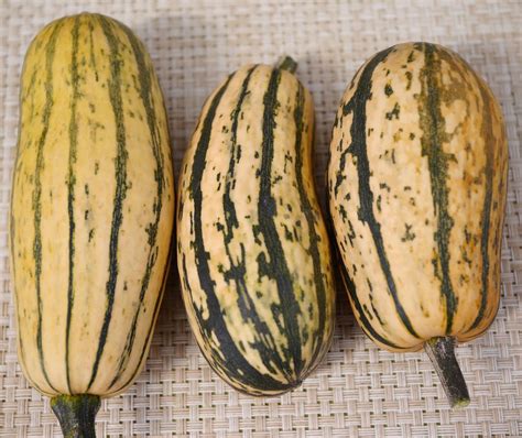 Foods For Long Life Roasted Delicata Squash With Rosemaryeasiest