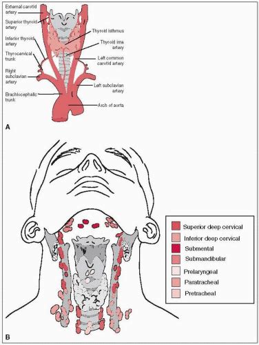 Thyroid Oncohema Key