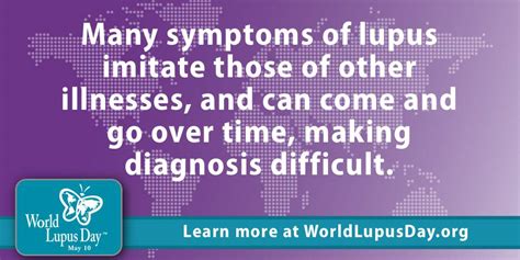 wld 2019 survey results lupus association of nsw inc