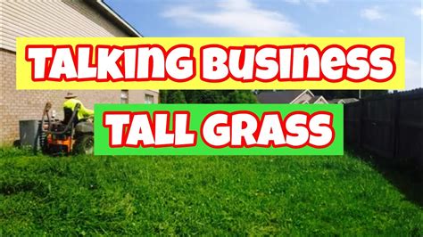 Mowing Tall Grass Overgrown Lawn Business Advise Youtube