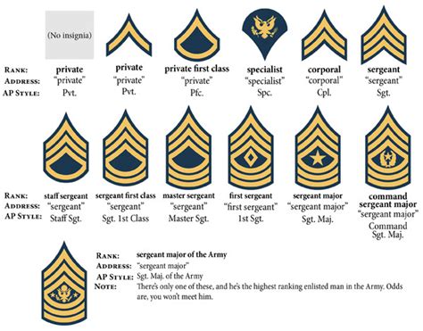 Enlisted Ranks Explained